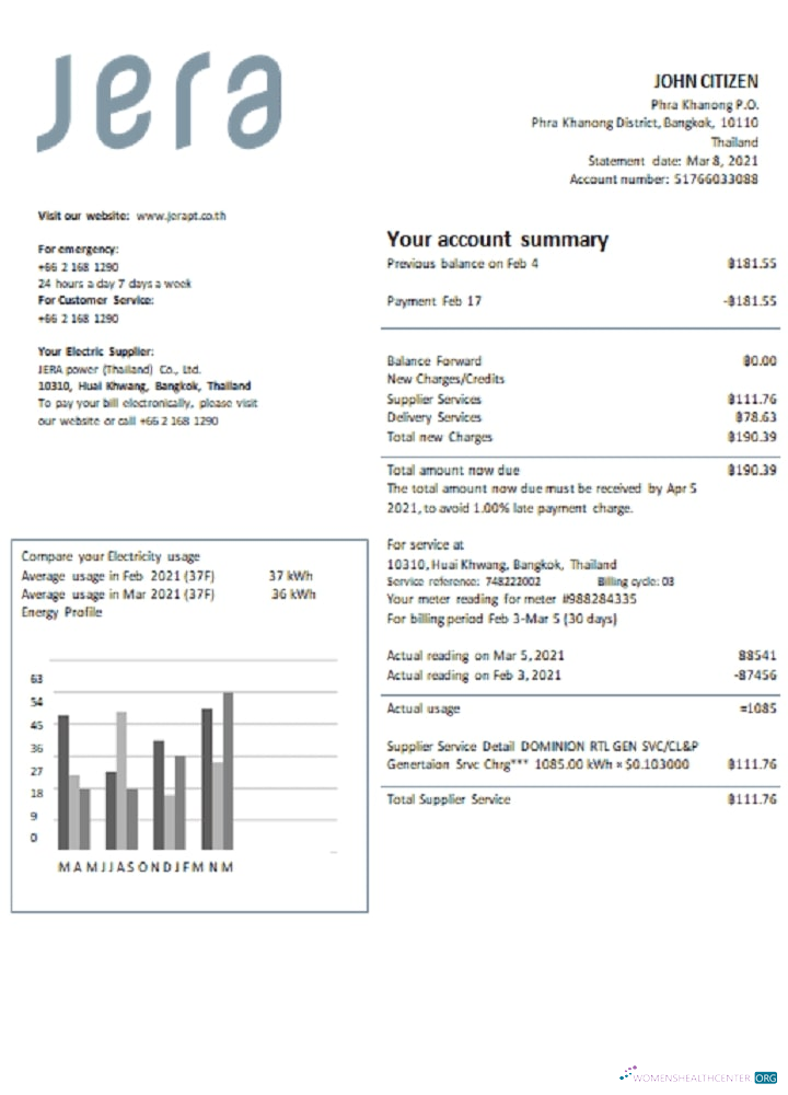 download download Thailand JERA power utility bill template in Word and PDF format PDF template PDF template